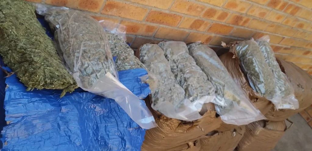 Cop arrested for dagga-dealing granted bail - Africa InTouch News